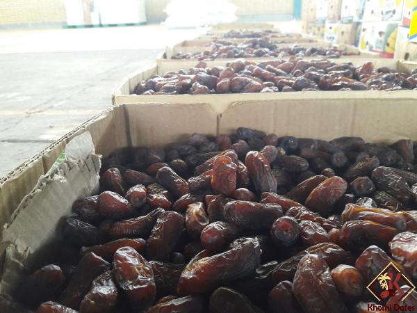 Piarom dates Wholesale Market in 2020