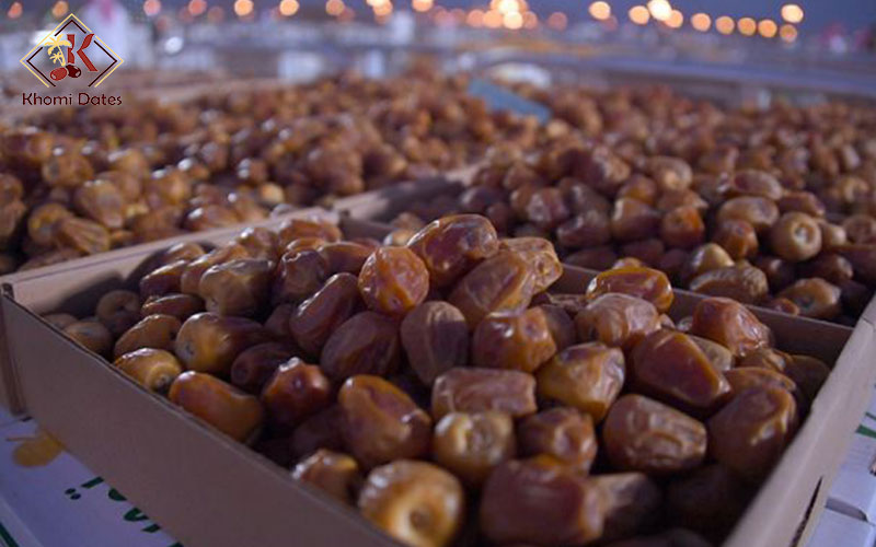 صادرات خرما به دبی